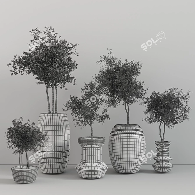 Elegant Indoor Plant Set 3D model image 6