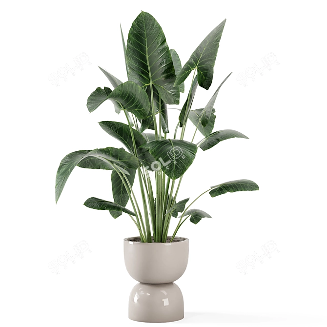 Rusty Concrete Pot Indoor Plants 3D model image 5