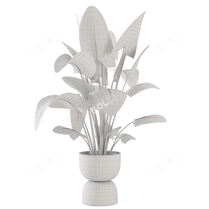 Rusty Concrete Pot Indoor Plants 3D model image 7