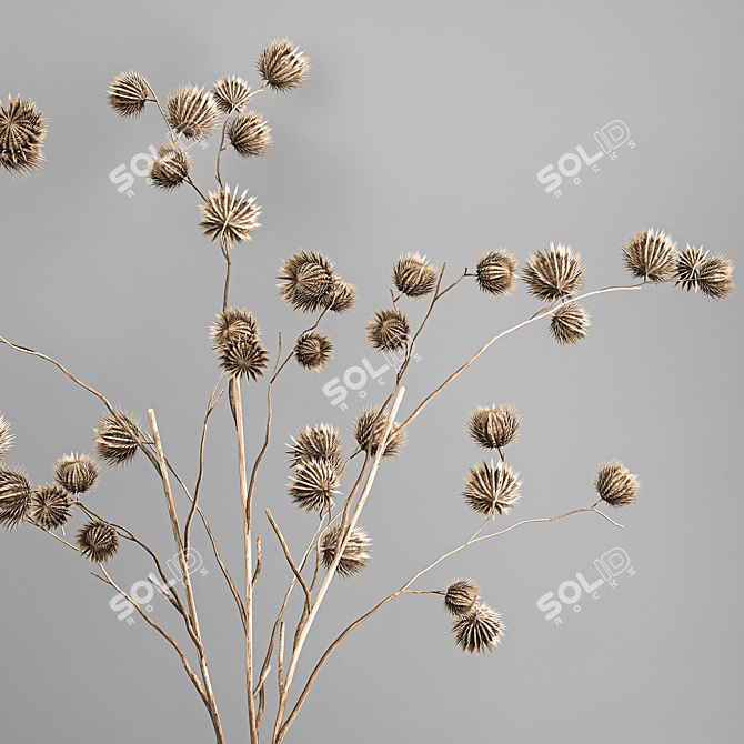 Rustic Thorns Bouquet 3D model image 3