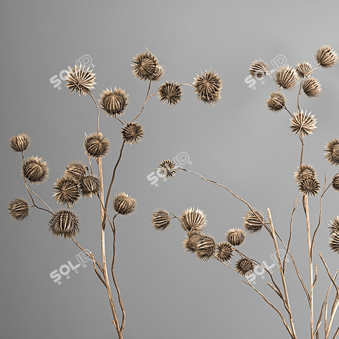 Rustic Thorns Bouquet 3D model image 5