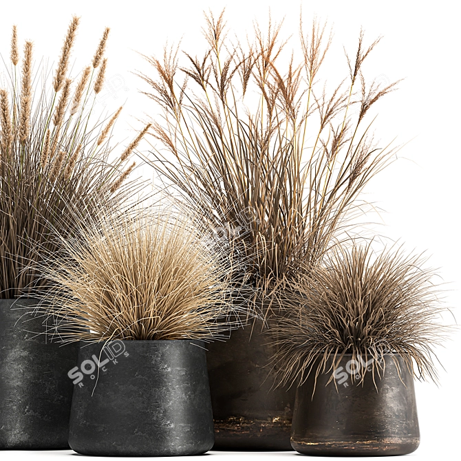 Reclaimed Iron Pot Plant Collection 3D model image 3