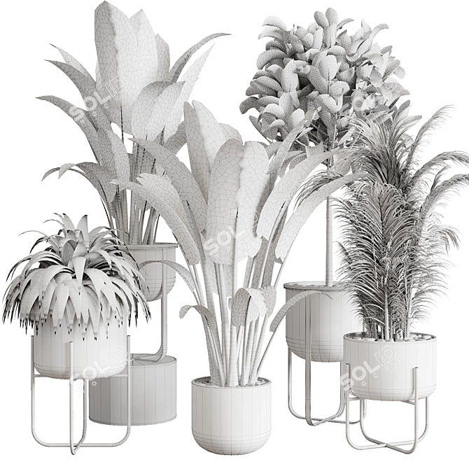 143 Indoor Plants Collection: Ravenala Ficus, Rubbery Palm Stand & Concrete Vase 3D model image 7