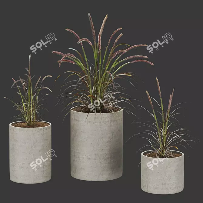Premium Plant Collection 3D model image 1