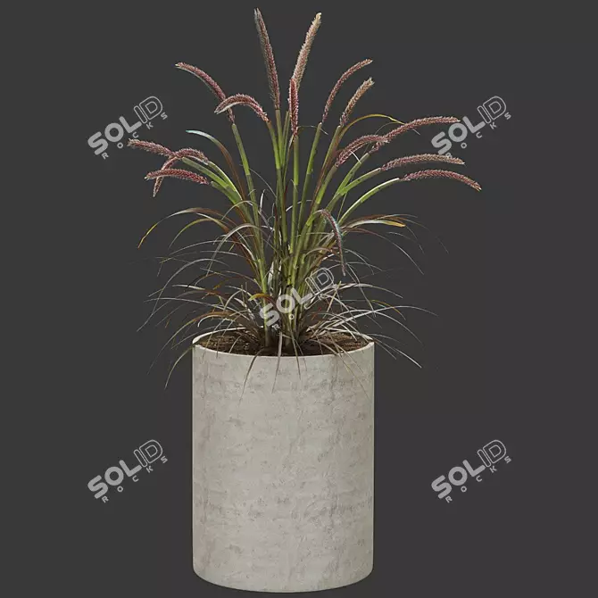 Premium Plant Collection 3D model image 2