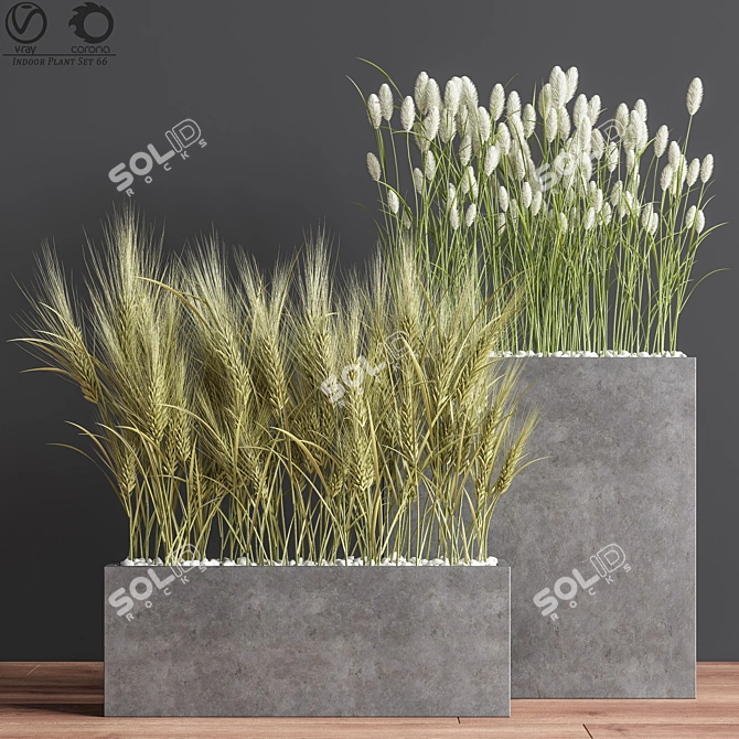 66-Piece Indoor Plant Set 3D model image 2