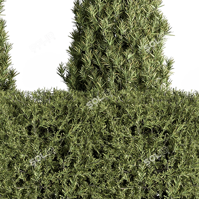 Versatile Needle Bush Set 3D model image 2