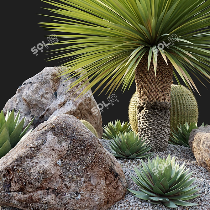 Australian Garden Set: Yucca, Cactus, Agave & Rocks 3D model image 2