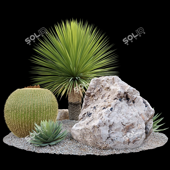 Australian Garden Set: Yucca, Cactus, Agave & Rocks 3D model image 3