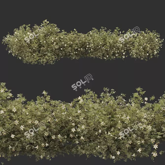 Premium Quality Bush Plant 3D model image 1