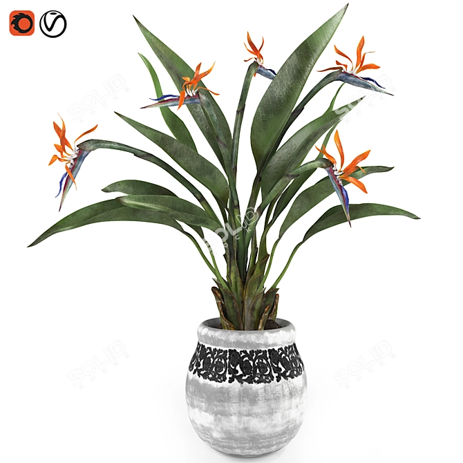  Exquisite Bird of Paradise 3D Model 3D model image 2