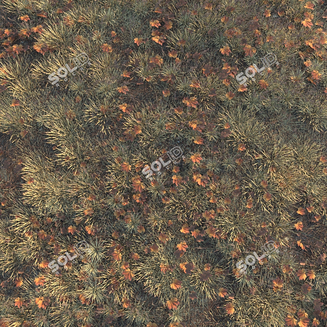 Autumn Grass Collection: 6 Types 3D model image 2