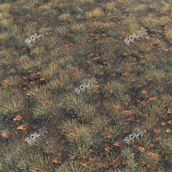 Autumn Grass Collection: 6 Types 3D model image 3