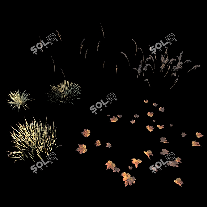 Autumn Grass Collection: 6 Types 3D model image 4