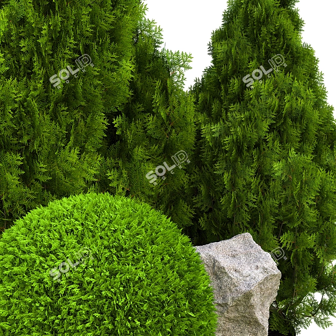 2015 Outdoor Plant Vol. 18 3D model image 2