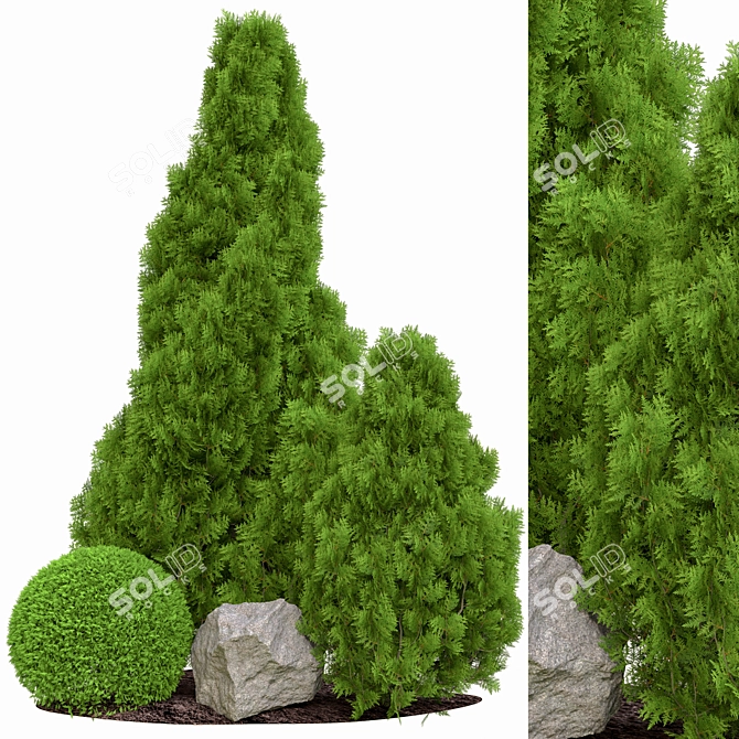 2015 Outdoor Plant Vol. 18 3D model image 4