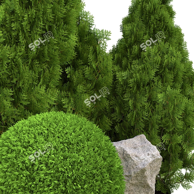 2015 Outdoor Plant Vol. 18 3D model image 5