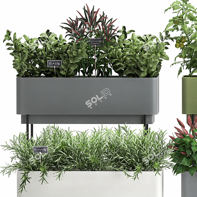 Kitchen Garden Kit - Fresh Herbs & Veggies 3D model image 2