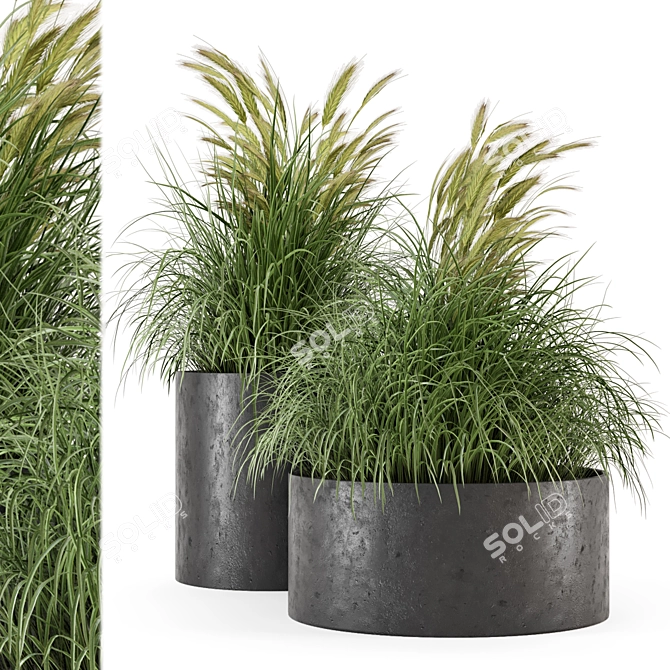 Rustic Concrete Pot with Outdoor Bush 3D model image 1