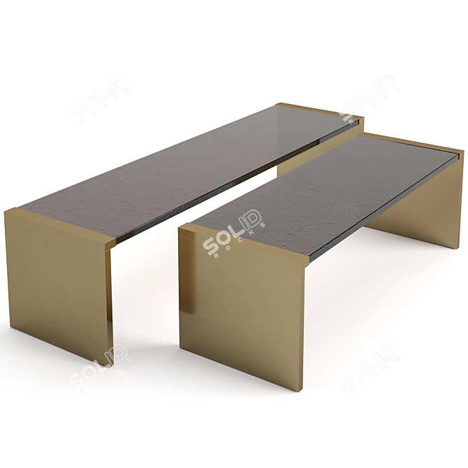 Elegant Baxter Trust Coffee Tables 3D model image 2