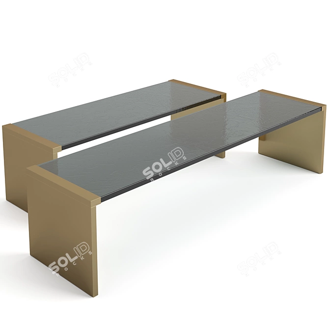 Elegant Baxter Trust Coffee Tables 3D model image 3