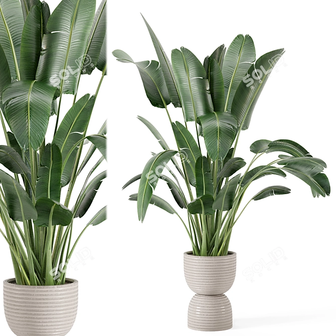 Rustic Concrete Pot Set with Indoor Plants 3D model image 1