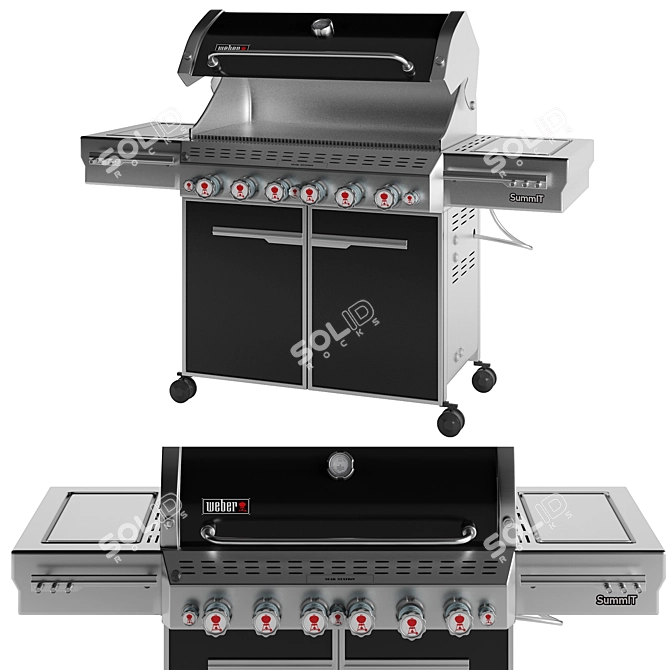 Summit Outdoor Gas Grill: Premium Cooking Experience 3D model image 1