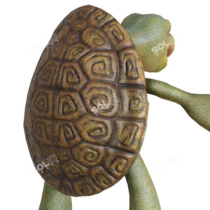 Cartoon Turtle 2013 3D Model 3D model image 5