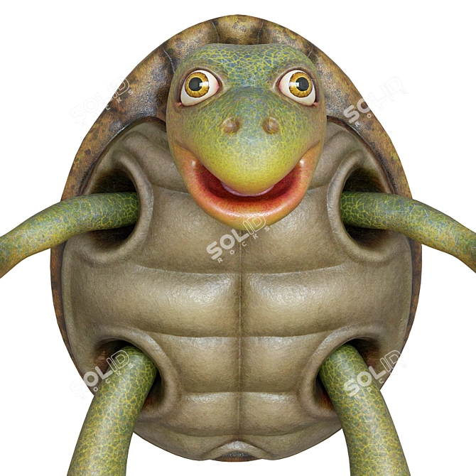 Cartoon Turtle 2013 3D Model 3D model image 2