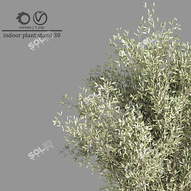 Minimalist Indoor Plant Stand 3D model image 2