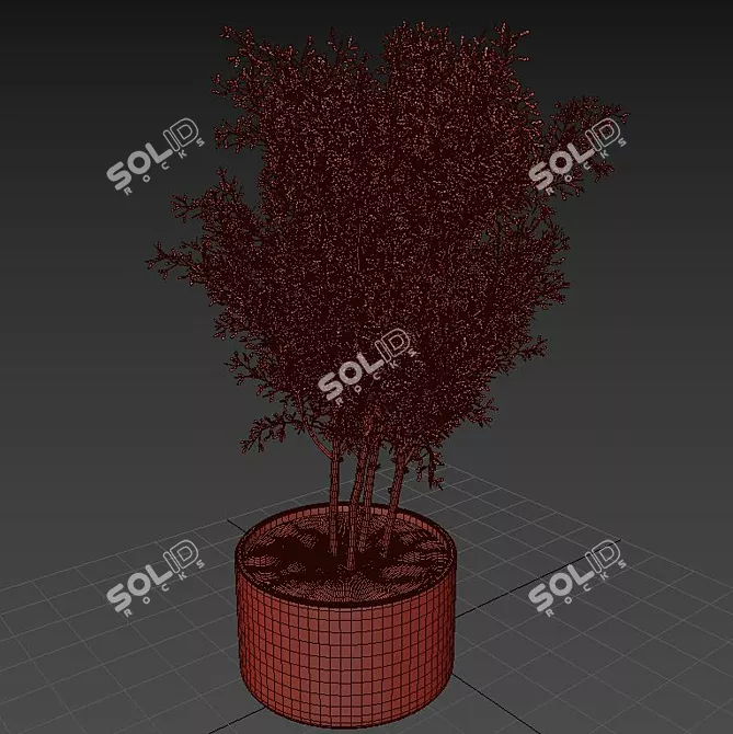 Minimalist Indoor Plant Stand 3D model image 3