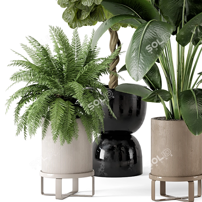 Ferm Living Bau Pot Large - Indoor Plant Set 3D model image 4