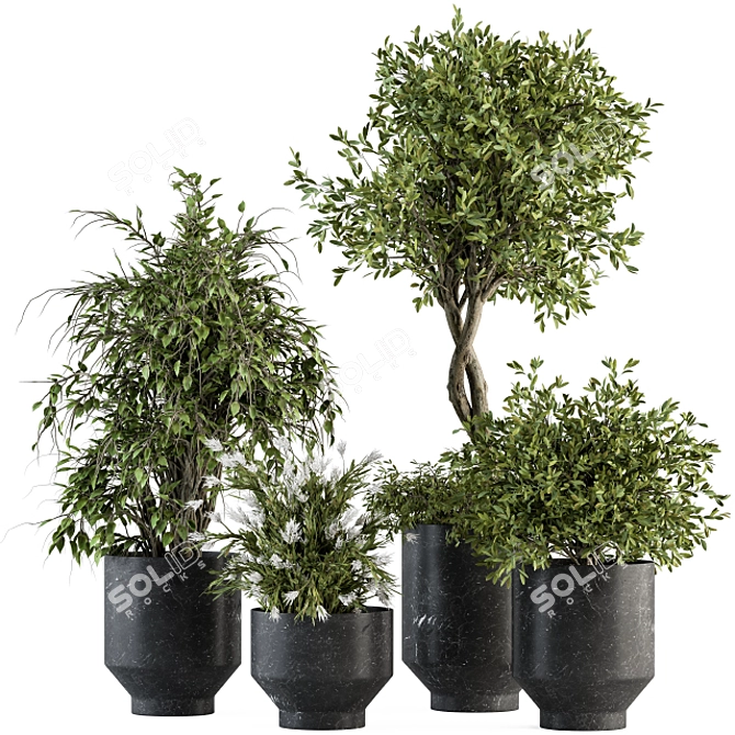 Botanical Bliss: Indoor Tree & Plant Set 3D model image 1