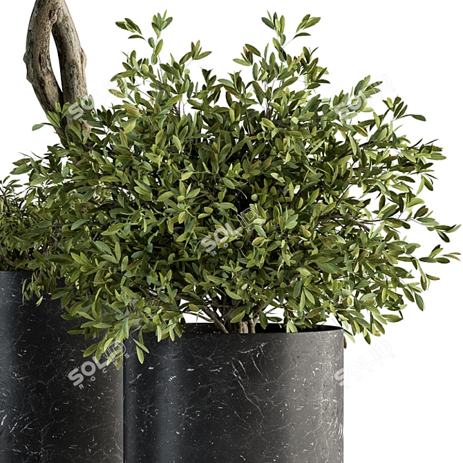 Botanical Bliss: Indoor Tree & Plant Set 3D model image 2