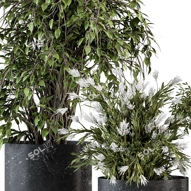Botanical Bliss: Indoor Tree & Plant Set 3D model image 3