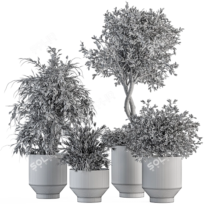 Botanical Bliss: Indoor Tree & Plant Set 3D model image 5