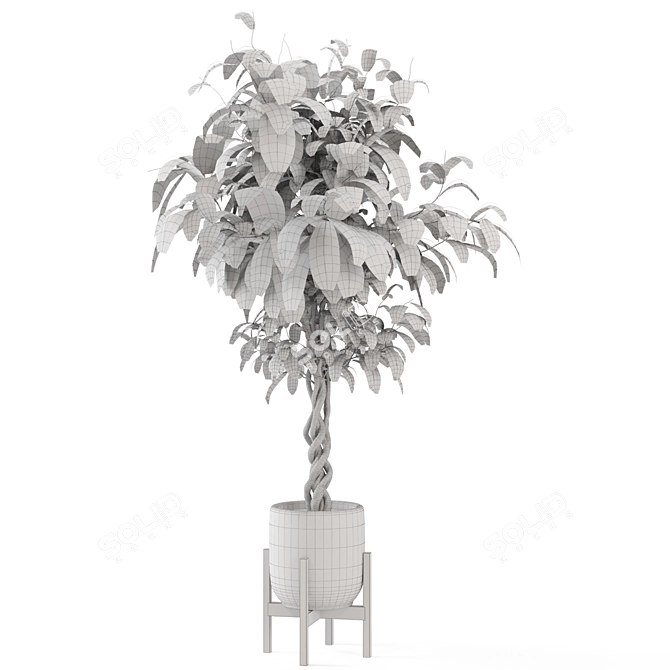 Wood & Concrete Indoor Plant Set 3D model image 7