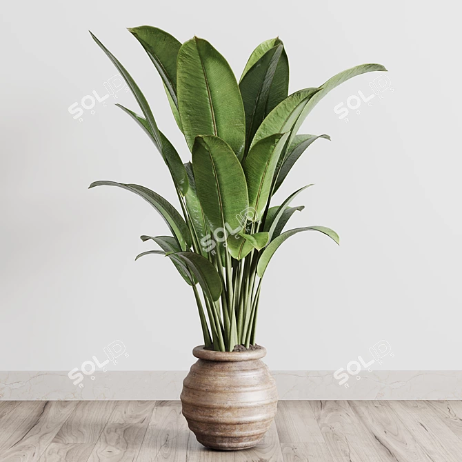Vintage Ficus Rubber Plant in Wooden Vase 3D model image 2