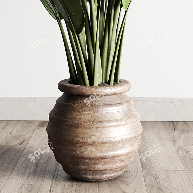 Vintage Ficus Rubber Plant in Wooden Vase 3D model image 4