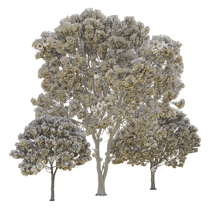 Opulent Oak Trees: 6-10-15m 3D model image 6