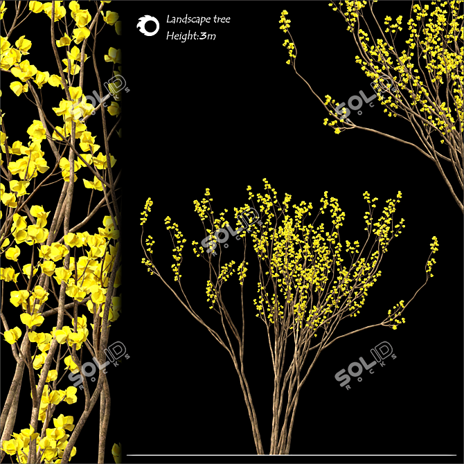 2014 Land scape tree | 3m Height 3D model image 1