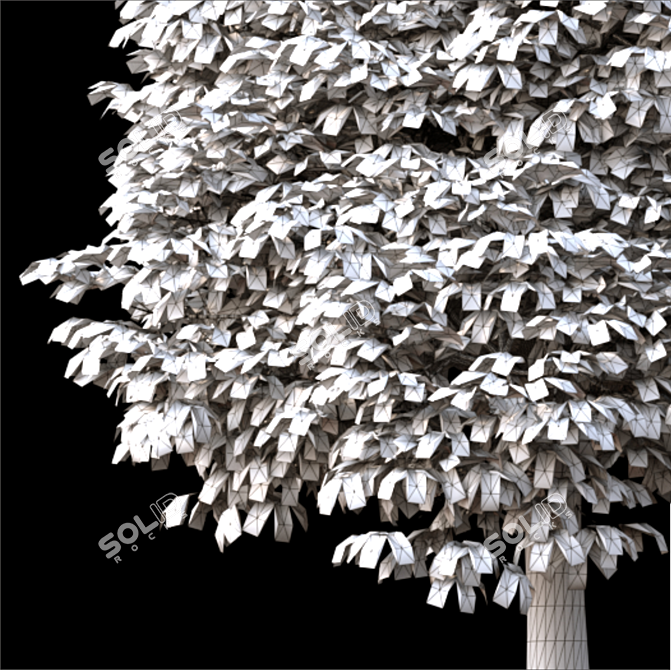  Majestic Landscaping Tree 3D model image 3