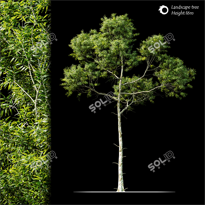 Lush Green Land scape Tree 3D model image 1