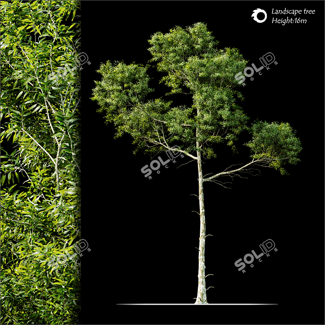 Lush Green Land scape Tree 3D model image 2