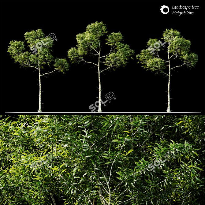 Lush Green Land scape Tree 3D model image 3