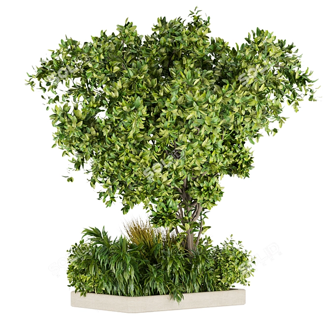 Outdoor Tree Collection Vol. 258 3D model image 3