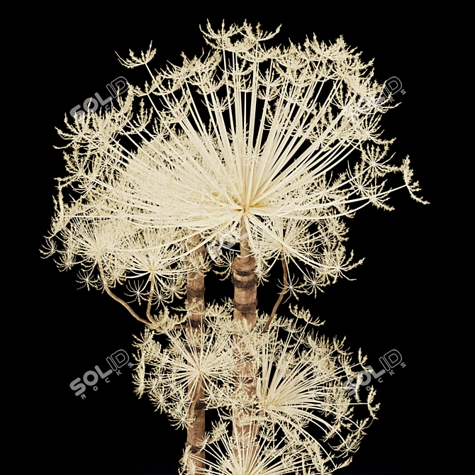 Title: Botanical Elegance: Bouquet of Berenklauw 3D model image 3