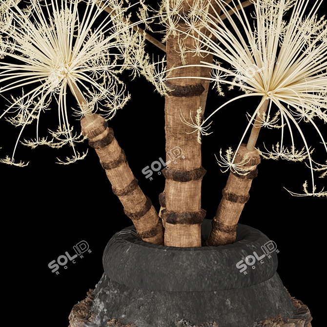 Title: Botanical Elegance: Bouquet of Berenklauw 3D model image 5