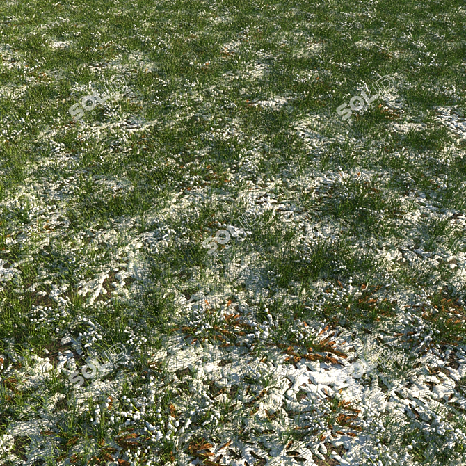 Frosty Meadow: 4 Grass Types, 2 Leaf Varieties 3D model image 1