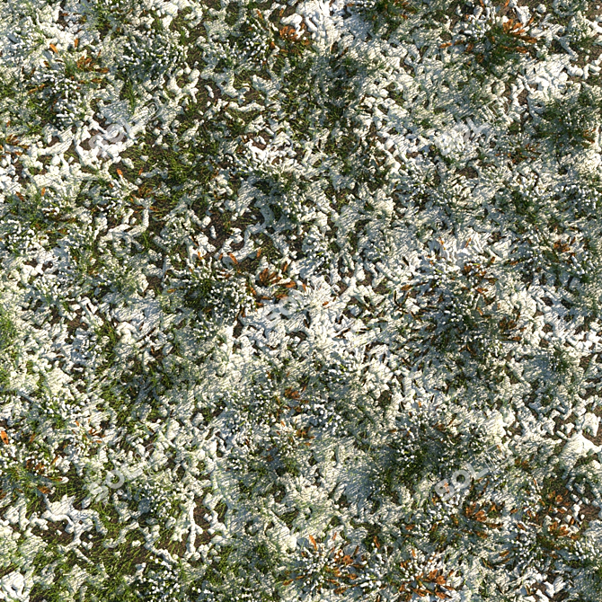 Frosty Meadow: 4 Grass Types, 2 Leaf Varieties 3D model image 2